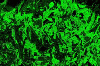 Soyut arkaplan. Çoklu renkli doku çizimi.