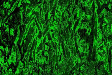 Soyut arkaplan. Çoklu renkli doku çizimi.