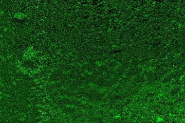 Soyut arkaplan. Çoklu renkli doku çizimi.