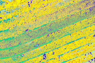 Soyut arkaplan. Çoklu renkli doku çizimi.