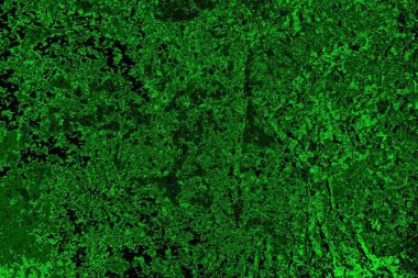 Soyut arkaplan. Çoklu renkli doku çizimi.