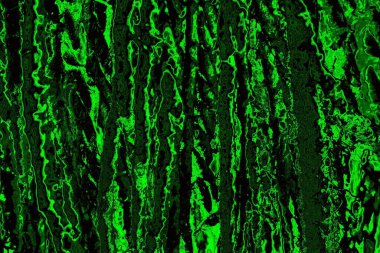 Soyut arkaplan. Çoklu renkli doku çizimi.