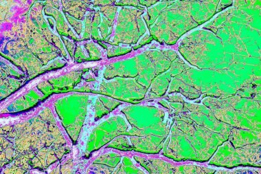 Soyut arkaplan. Çoklu renkli doku çizimi.