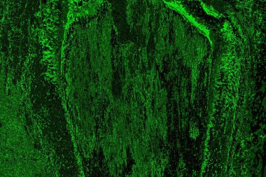 Soyut arkaplan. Çoklu renkli doku çizimi.