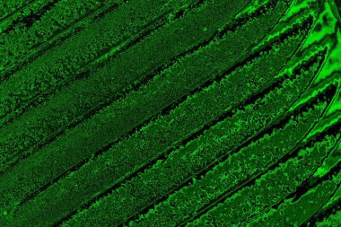 Soyut arkaplan. Çoklu renkli doku çizimi.