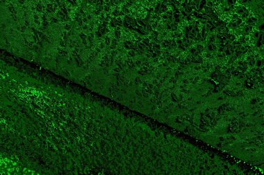 Soyut arkaplan. Çoklu renkli doku çizimi.