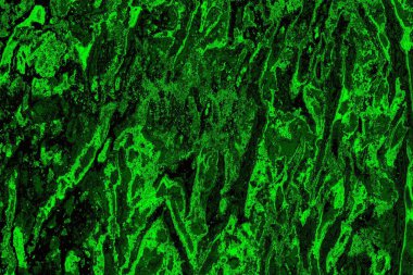 Soyut arkaplan. Çoklu renkli doku çizimi.