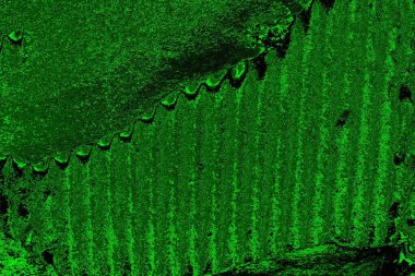 Soyut arkaplan. Çoklu renkli doku çizimi.