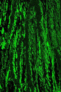 Soyut arkaplan. Çoklu renkli doku çizimi.