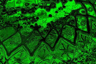 Soyut arkaplan. Çoklu renkli doku çizimi.