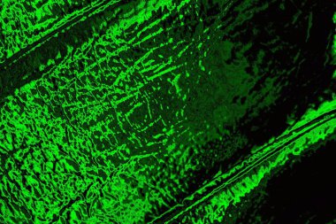 Soyut arkaplan. Çoklu renkli doku çizimi.