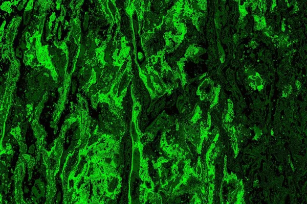 Soyut arkaplan. Çoklu renkli doku çizimi.