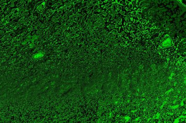 Soyut arkaplan. Çoklu renkli doku çizimi.
