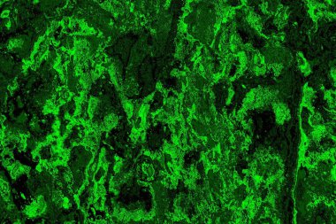 Soyut arkaplan. Çoklu renkli doku çizimi.