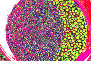 Soyut arkaplan. Çoklu renkli doku çizimi.