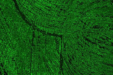 Soyut arkaplan. Çoklu renkli doku çizimi.