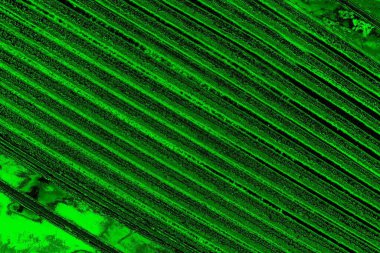 Soyut arkaplan. Çoklu renkli doku çizimi.