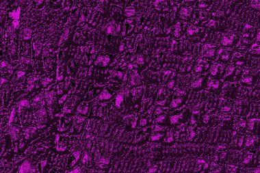 Soyut arkaplan. Monokrom dokusu. Resim siyah ve beyaz tonları içerir.