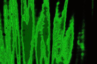 Soyut arkaplan. Çoklu renkli doku çizimi.