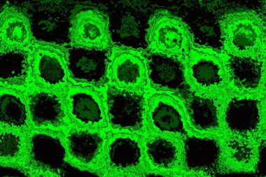 Soyut arkaplan. Çoklu renkli doku çizimi.