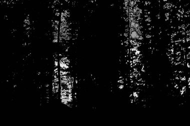 Soyut arkaplan. Monokrom dokusu. Resim siyah ve beyaz tonları içerir.