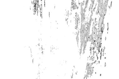 Soyut arkaplan. Monokrom dokusu. Resim siyah ve beyaz tonları içerir.