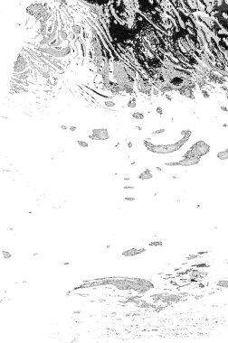 Soyut arkaplan. Monokrom dokusu. Resim siyah ve beyaz tonları içerir.