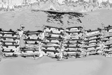 Soyut arkaplan. Monokrom dokusu. Resim siyah ve beyaz tonları içerir.