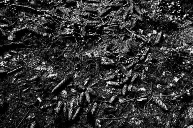 Soyut arkaplan. Monokrom dokusu. Resim siyah ve beyaz tonları içerir.