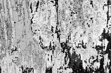 Soyut arkaplan. Monokrom dokusu. Resim siyah ve beyaz tonları içerir.