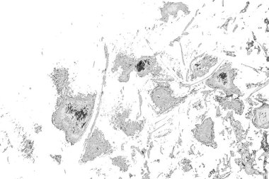 Soyut arkaplan. Monokrom dokusu. Resim siyah ve beyaz tonları içerir.