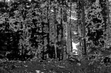 Soyut arkaplan. Monokrom dokusu. Resim siyah ve beyaz tonları içerir.