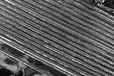 Soyut arkaplan. Monokrom dokusu. Resim siyah ve beyaz tonları içerir.