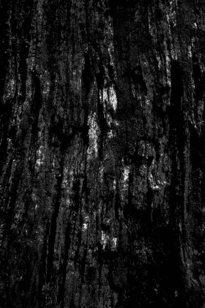 Abstract Background Monochrome Texture Image Includes Effect Black White Tones — Stock Photo, Image