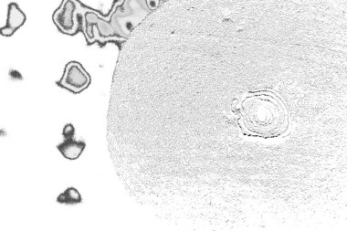 Soyut arkaplan. Monokrom dokusu. Resim siyah ve beyaz tonları içerir.