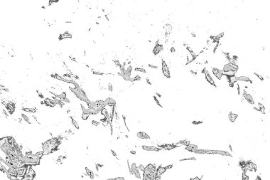 Soyut arkaplan. Monokrom dokusu. Resim siyah ve beyaz tonları içerir.