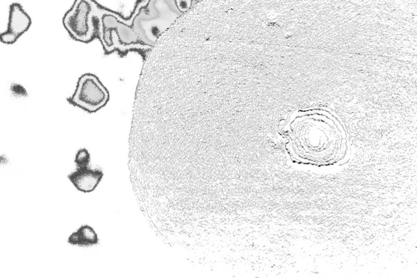 Absztrakt Háttér Monokróm Textúra Kép Tartalmaz Egy Hatást Fekete Fehér — Stock Fotó