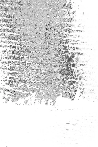 Fondo Abstracto Textura Monocromática Imagen Incluye Efecto Los Tonos Blanco — Foto de Stock