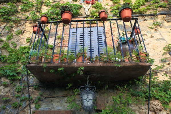 Balkon z roślin — Zdjęcie stockowe