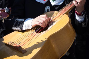 Mariachi musician  clipart