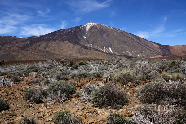 Teide mountain. — Stock Photo, Image