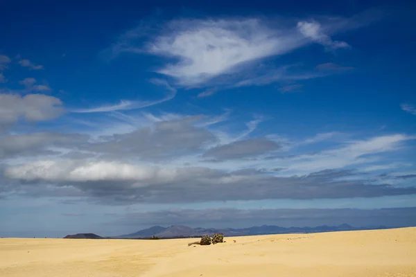  Corralejo tepeleri