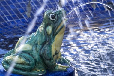 Bir kurbağa kaynağıdır