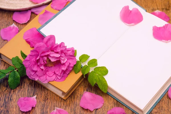 Livro aberto com pétalas de flor de rosa mosqueta em uma mesa de madeira — Fotografia de Stock