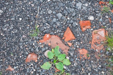 Küçük taşlar, çimenler ve tuğlalarla birlikte asfalt kırıntılarının arka plan dokusu