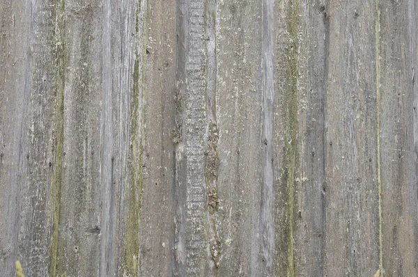 Textuur van oude houten planken rustieke achtergrond — Stockfoto