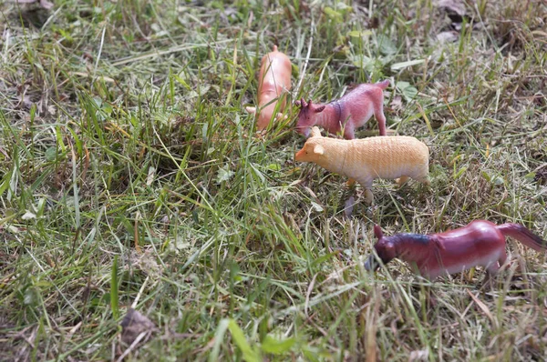 Jouet animaux de ferme cheval, mouton, chèvre et porc sur une promenade dans l'herbe réelle — Photo