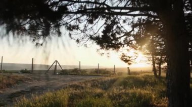 Genç adam gün doğumunda ormanda koşuyor. Kirlilik sorunları kavramı.