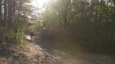 Güzel siyah at ve parkta yürüyen bir kadın..