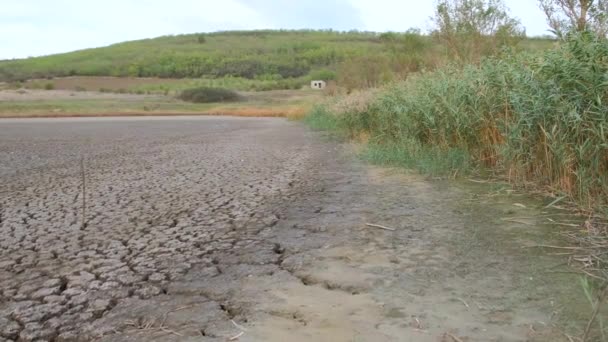 Een enorm gebied van een zeer droog meer dat lijdt aan droogte, ernaast is alles groen. — Stockvideo